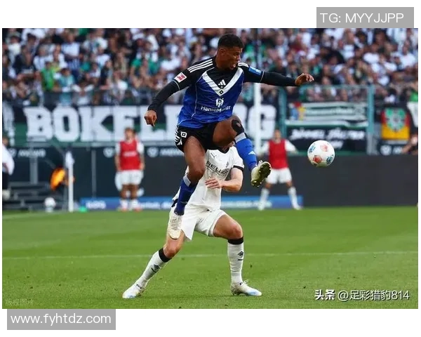 汉堡主场胜利，保持不败纪录继续扩大