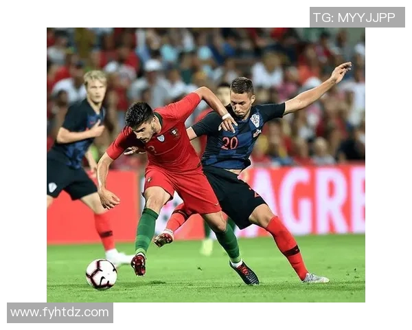 荷兰主场大胜奥地利，小组晋级之路顺风顺水